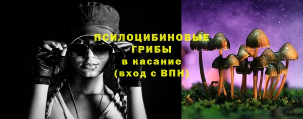 Альфа ПВП Арсеньев