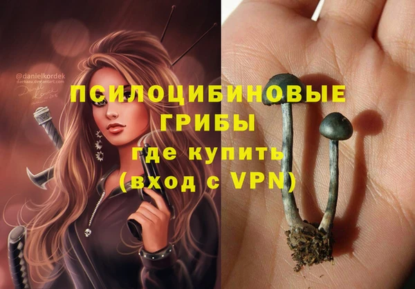 Альфа ПВП Арсеньев