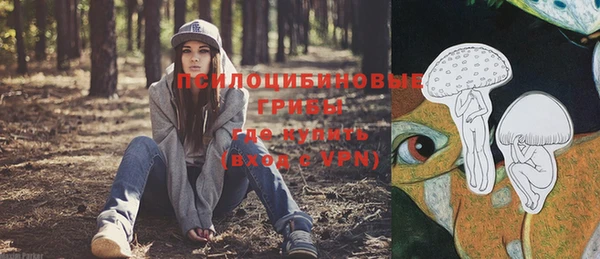 метадон Аркадак