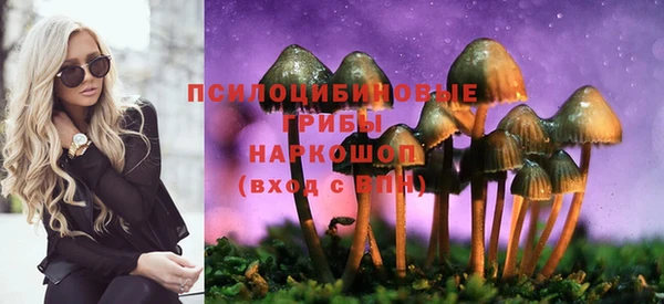 метадон Аркадак