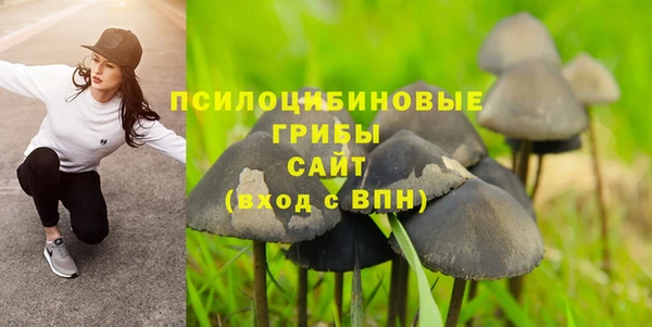 метадон Аркадак